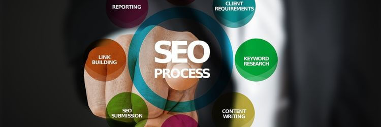 audit seo